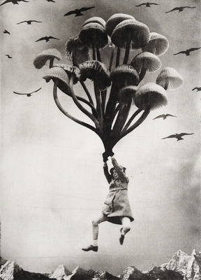 The Girl and The Mushrooms The Girl and The Mushrooms