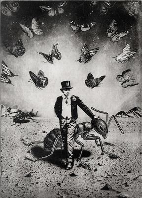 The Boy and The Ants The Boy and The Ants