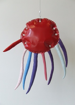 Octopus Octopus