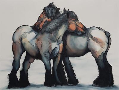 Zeeuwse Paarden die Elkaar Krauwen Zeeuwse Paarden die Elkaar Krauwen