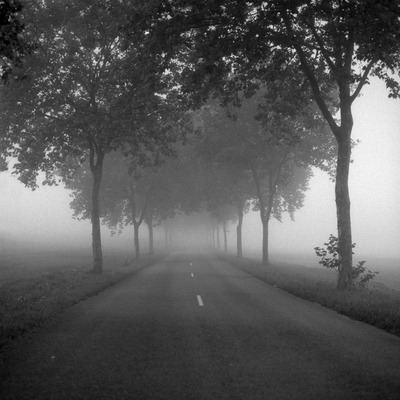 Misty morning road Misty morning road