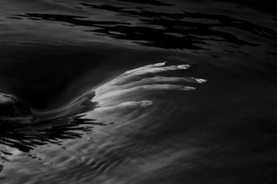 surface |ˈsərfis| surface |ˈsərfis|