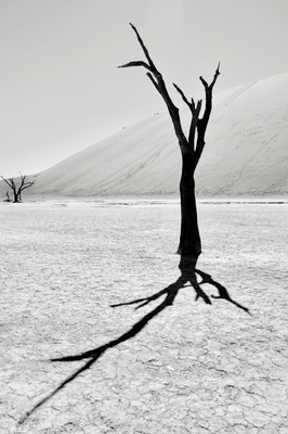 deadvlei I