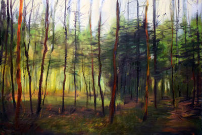 throug trees 2 throug trees 2