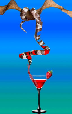 Party animals Party animals