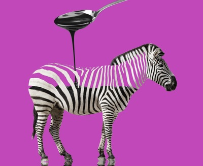 Zebraaa Zebraaa