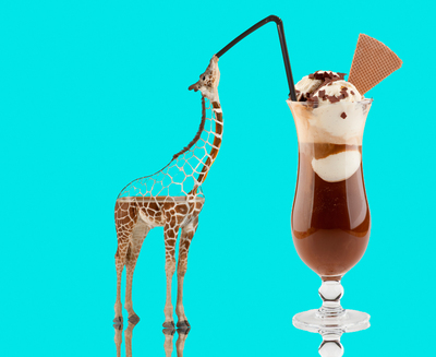 Partyanimals Partyanimals