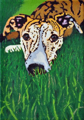 Grass Grass