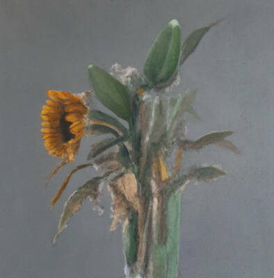 flowers 10 flowers 10