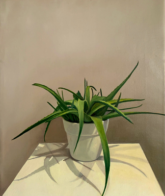 Vetplant Vetplant