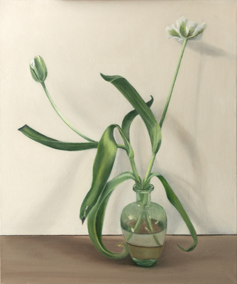 Tulp Tulp