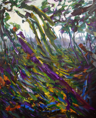 A forest 7 A forest 7