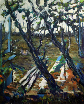 A forest 9 A forest 9