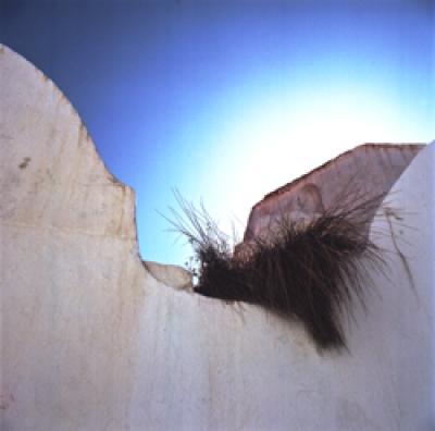Walls and Grass Walls and Grass