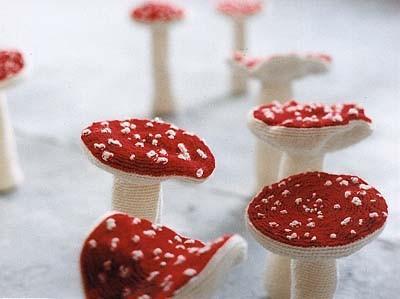 paddestoelen paddestoelen
