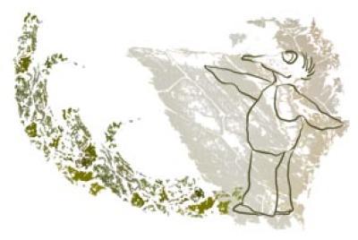 fly-bird fly-bird