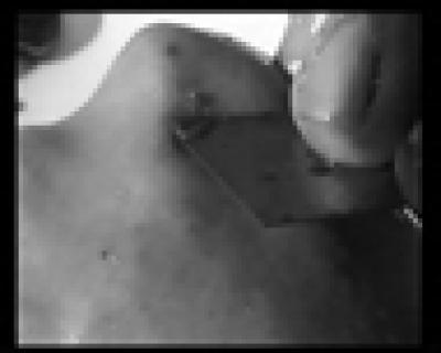 screenshot film caravan screenshot film caravan