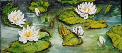 WITTE WATERLELIES WITTE WATERLELIES