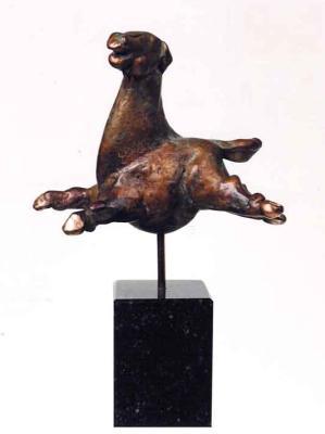 Paard - Adriaan springt Paard - Adriaan springt