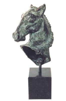 Paard - Pitou
