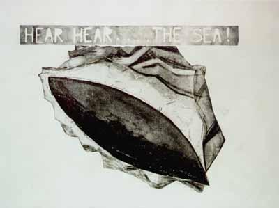 Hear Hear........The Sea! schelp nr 21 Hear Hear........The Sea! schelp nr 21