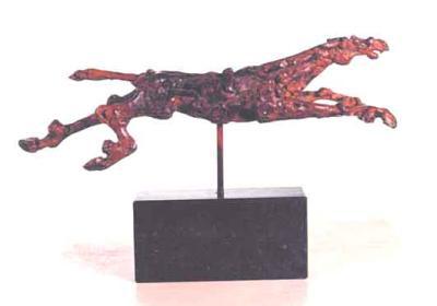 Paard - Witold Paard - Witold
