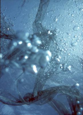 Oxygene Oxygene