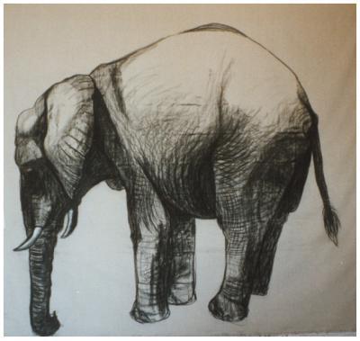 Olifant Olifant
