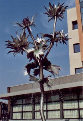 Distel Distel