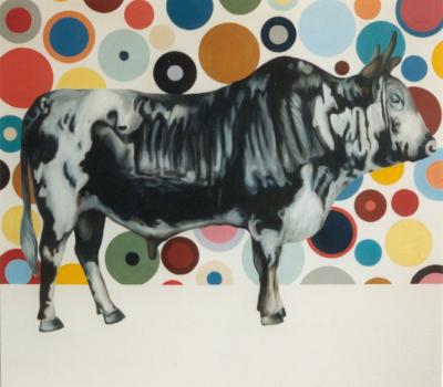 nguni nguni