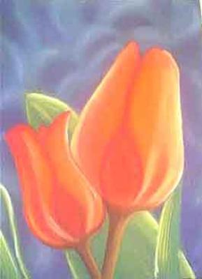 Lady Tulp Lady Tulp