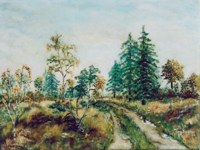 De Gooise heide De Gooise heide