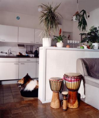 Afrikaanse cultuur in Nederland C Afrikaanse cultuur in Nederland C