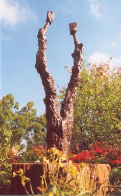 treelovers treelovers