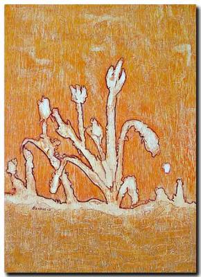 bloem & bloem bloem & bloem