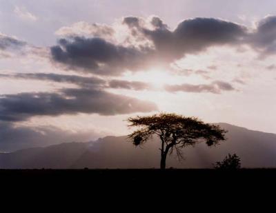 Kenya Sunset Kenya Sunset