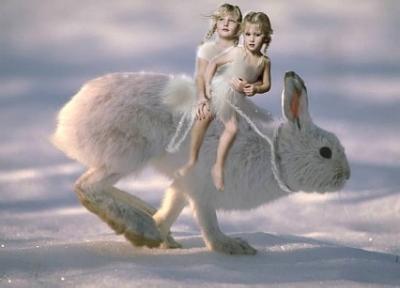 Snowrabbit Snowrabbit