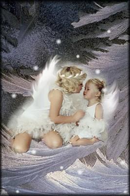 frost fairy's frost fairy's