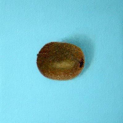 kiwi kiwi