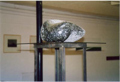 Pitje van de peul Pitje van de peul