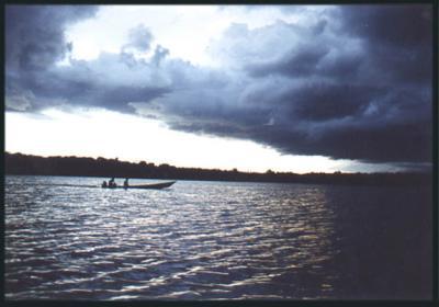 Barquinho No Rio Negro