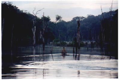 Vida E Morte Pelas Aguas