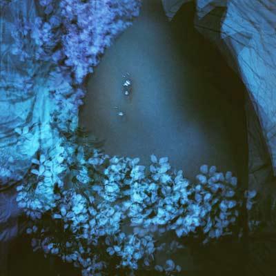 Flowerstar Flowerstar