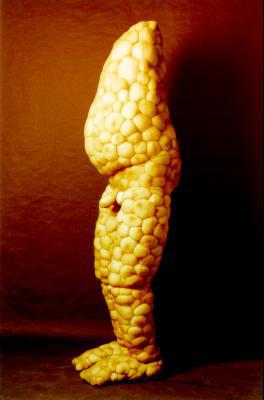 BOLLETJESMAN BOLLETJESMAN