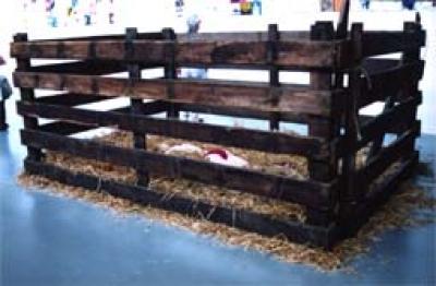 Kraal Kraal