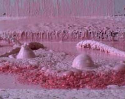 Blob Blob
