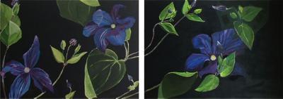 Clematis 2-luik Clematis 2-luik