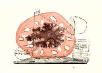 prima materia prima materia