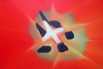 (12) Tulp (12) Tulp
