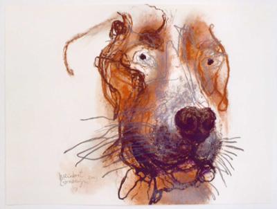 weimaraner weimaraner